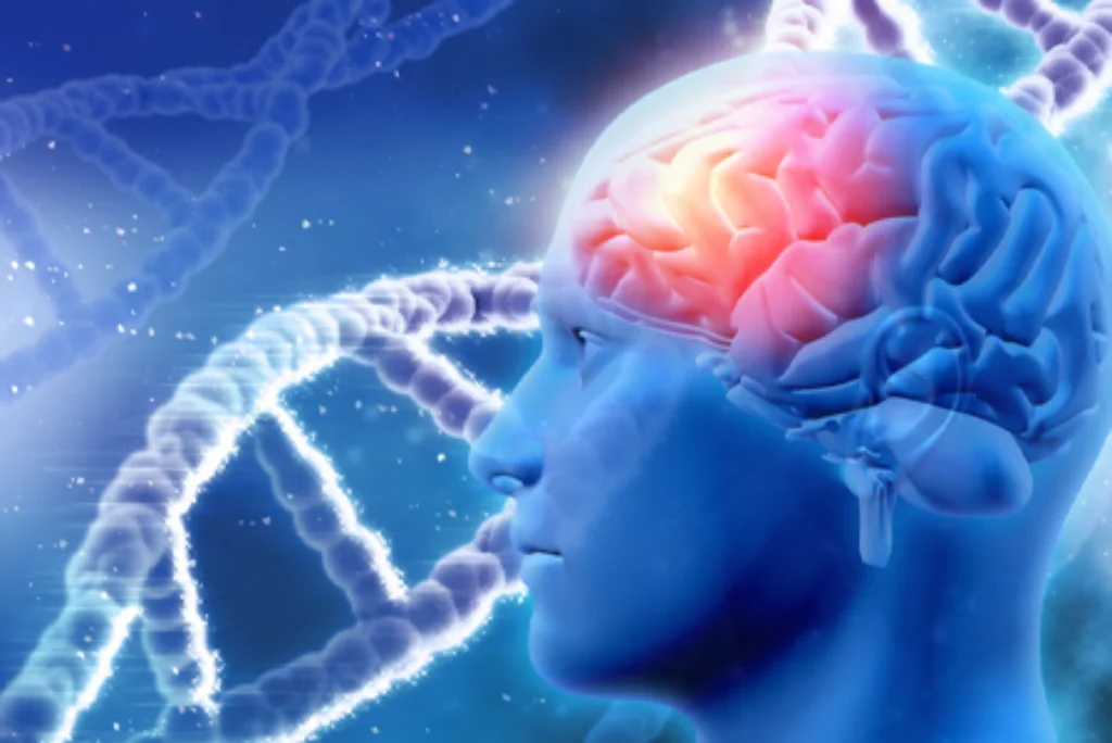 Protecting Your Most Important Organ BRAIN