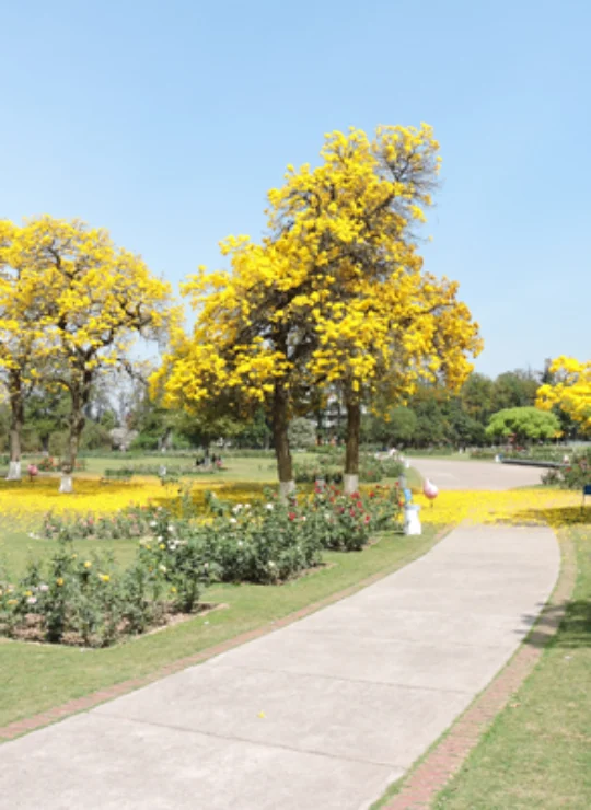 Chandigarh Chandigarh